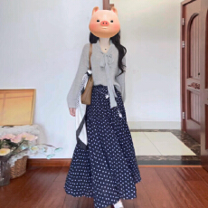 批发秋季灰色针织两件套装裙子女2025新款巨好看一整套韩系气质穿搭