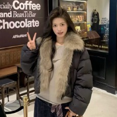 批发拿货的询价 所有的全部都是羽绒服 全部都是狐狸毛领不需多问