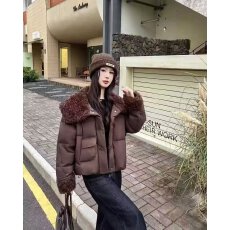 批发拿货的询价 90绒所有的全部都是羽绒服 全部都是狐狸毛领不需多问