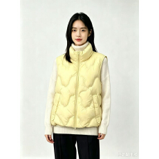 批发爆款马甲 羽绒十拿十补新款外套女秋冬加厚保暖时尚