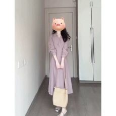批发淑女风<b class='q'>紫色</b>翻领衬衫<b class='q'>连衣裙</b>女2026年春季新款知性气质显瘦长袖裙子