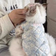 批发田园防寒超萌法式粉蓝宠物衣服加绒背心保暖发热秋冬专用公主棉衣