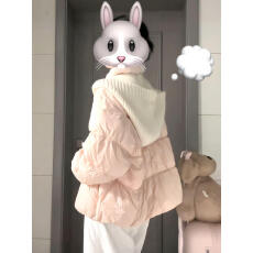 批发超好看冬装厚<b class='q'>外套</b>韩系立领泡芙棉服女宽松加厚保暖小个子冬季棉袄