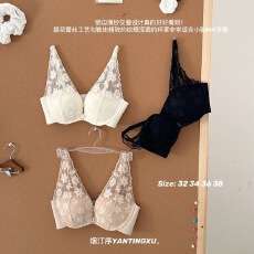 批发蕾丝V领内衣背心式<b class='q'>性感</b>前扣小胸显大美背<b class='q'>文胸</b>罩
