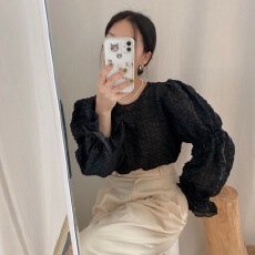 批发<b class='q'>韩国</b>chic 秋季法式小众仙气泡泡皱褶圆领灯笼袖雪纺衬衫上衣女