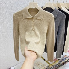 批发已出货 女长袖秋季2025年<b class='q'>新款</b>气质针织polo衫<b class='q'>毛衣</b>软糯上衣