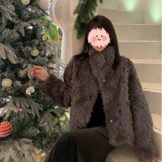 批发已出货 新款立领环保小湖羊女<b class='q'>短款</b>小个子仿<b class='q'>皮草</b>外套毛毛上衣女