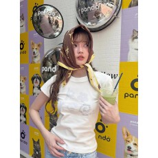 批发已出货 正肩短袖 高弹力新款夏季修身显瘦洋气上衣