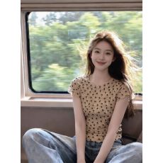 批发已出货 温柔爱心网纱短袖t恤女夏季圆领修身显瘦<b class='q'>小衫</b>上衣