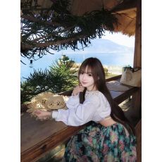批发白色上衣镂空优质 刺绣工艺+绿色裙子乔其纱优质 应季新款 优雅