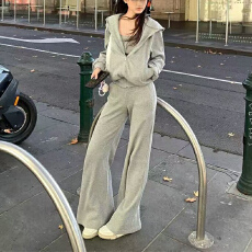 批发实体档口秋时尚高品质休闲套装<b class='q'>女</b>连帽拉链卫衣外套直筒裤两件套