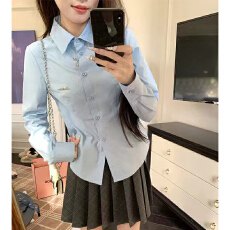 批发实体档口法式高级感蓝色衬衫女秋季设计感内搭收腰显瘦长袖衬衣潮