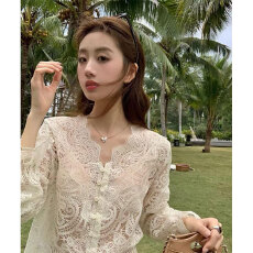 批发实体档口V领长袖蕾丝罩衫超仙设计感法式打底上衣2025年秋冬新款