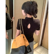批发实体档口高级感气质立领正肩<b class='q'>短袖</b><b class='q'>T</b><b class='q'>恤</b>女秋季后背镂空修身显瘦上衣