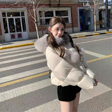 批发实体档口2025新款女装<b class='q'>秋</b>冬韩版修身显瘦毛领连帽短款羽绒服外套潮