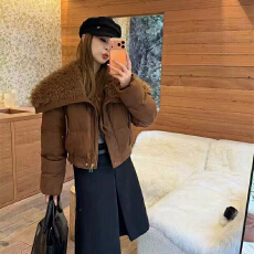 批发实体档口冬季设计感穿搭宽松短款外套长袖百搭大翻领减龄羽绒服女