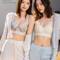 批发实力工厂法式蕾丝V领内衣女<b class='q'>无</b><b class='q'>钢圈</b>小胸聚拢显大防下垂美背<b class='q'>文胸</b>罩