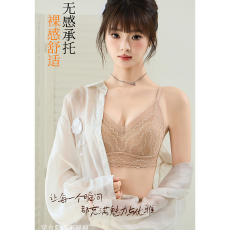 批发实力工厂蕾丝内衣女小胸聚拢舒适性感网纱夏薄款防下垂甜美文胸罩