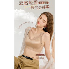 批发实力工厂法式轻奢蕾丝内衣无钢圈软支撑收副乳聚拢提拉文胸美背女