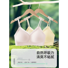 批发实力工厂蕾丝双肩带内衣软糯轻薄软支撑聚拢收副乳<b class='q'>无</b><b class='q'>痕</b><b class='q'>文胸</b>女