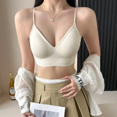 批发实力工厂挂脖美背吊带背心内衣女小胸聚拢防下垂固定杯薄款文胸罩