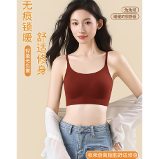 批发实力工厂无痕内衣女小胸聚拢防下垂收副乳美背保暖<b class='q'>冬</b>季磨毛文胸罩