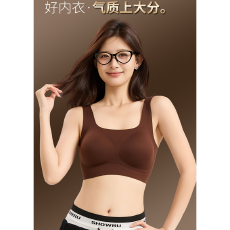 批发实力工厂秋冬新款桑蚕丝磨毛无痕内衣女小胸聚拢防下垂<b class='q'>文胸</b>收副乳