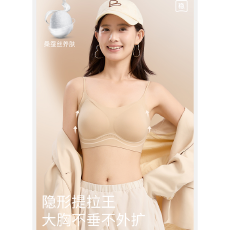 批发实力工厂美背内衣女桑蚕丝磨毛吊带露背<b class='q'>隐形</b>无痕小胸聚拢<b class='q'>文胸</b>罩