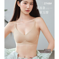 批发实力工厂无钢圈文胸女士莫代尔无痕软支撑上托固定杯内衣秋冬新款