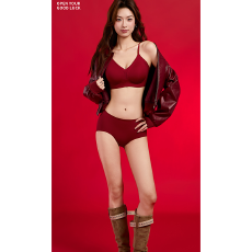 批发实力工厂本命年红色细肩带内衣女小胸聚拢新娘结婚马年文胸套装<b class='q'>冬</b>