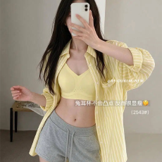 批发实力工厂大胸显瘦专属零感薄翼承托杯防下垂聚调整型提拉内衣