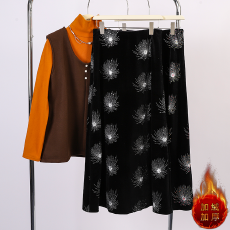 批发实拍法式小众设计感重工轻奢刺绣蒲公英丝绒<b class='q'>半身裙</b> 高腰加绒A<b class='q'>字</b><b class='q'>裙</b>