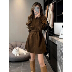 批发法式高级感衬衫连衣裙女秋冬2026新款春装小个子气质收腰a字短裙
