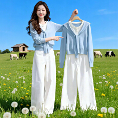 批发官图  通勤风休闲套装女2026春秋新款设计感假两件上衣长裤两件套