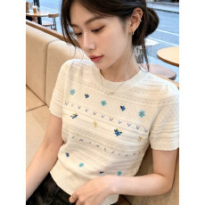 批发彩色绣花短袖针织衫女夏季巨好看甜美减龄<b class='q'>打底衫</b>洋气<b class='q'>宽松</b>显瘦上衣