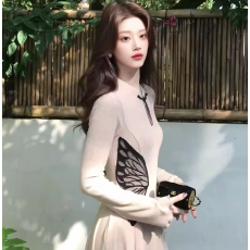 批发蝶来新中式改良<b class='q'>刺绣</b>收腰<b class='q'>连衣裙</b>气质半高领可拆卸披肩