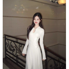 批发蝶来新中式改良刺绣收腰连衣裙气质半高领裙子好看