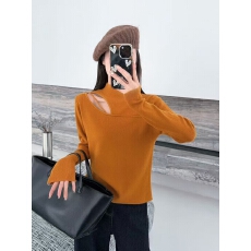 批发法式优雅露锁骨女人味半高领<b class='q'>打底衫</b>衫女秋冬款设计感小心机上衣