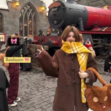 批发林娜琏<b class='q'>明星</b>同款美拉德牛角扣学院风毛呢外套复古时髦大衣24秋冬新