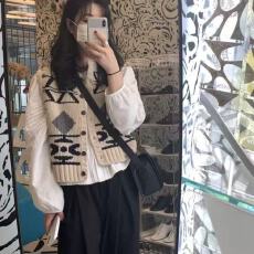 批发复古提花春秋季2025年新款无袖圆领毛衣马甲背心开衫上衣女装潮