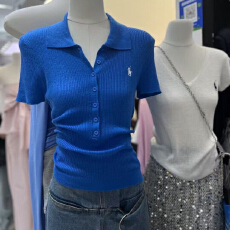 批发POLO衫纯色修身显瘦短袖T恤<b class='q'>女</b>夏季新款设计感时尚百搭<b class='q'>针织衫</b>上衣