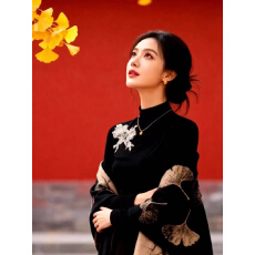 批发新中式复古黑色半高领长袖T恤女秋季刺绣<b class='q'>花朵</b>设计感百搭打底上衣