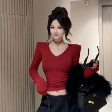 秋装新款高级感V领长袖T恤女韩版修身显瘦纯欲辣妹百搭内搭上衣女