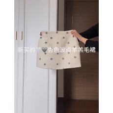 批发已出大货 新款高腰显瘦波点羊羔毛半身裙女冬季时尚减龄百搭短裙