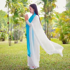 批发非实拍 禅舞服套装带袖子仙女飘逸长裙茶禅服文艺古筝<b class='q'>演出</b>服