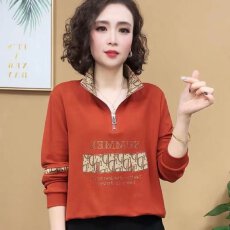 批发<b class='q'>秋</b>季百搭时尚设计立领拉链上衣新款洋气时髦拼接撞色减龄显瘦长袖