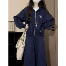 批发韩版外贸春秋新款开衫连帽卫衣套装女学生宽松百搭两件套