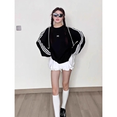 批发原版面料秋冬刺绣<b class='q'>宽松</b>长袖卫衣<b class='q'>上衣</b>无帽圆领