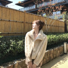 批发<b class='q'>通勤</b>风粉色立领仿毛皮短款环保皮草外套女保暖毛毛外套