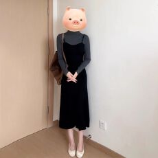 批发法式<b class='q'>假两件</b>半高领秋冬<b class='q'>连衣裙</b>女秋2025新款显瘦气质长裙子小众叠穿